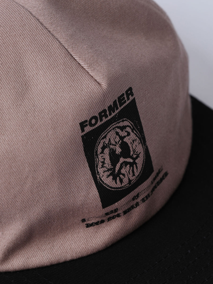  Brainscan Cap