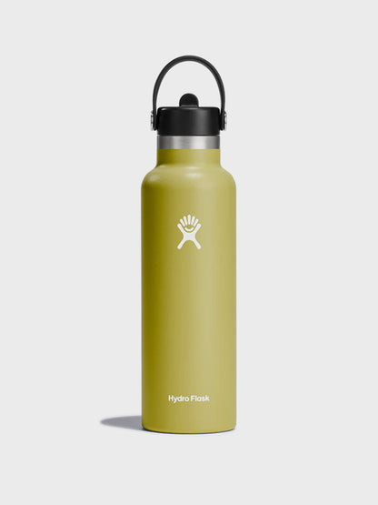 Hydro Flask Hydration 21oz Standard Mouth With Flex Straw Cap